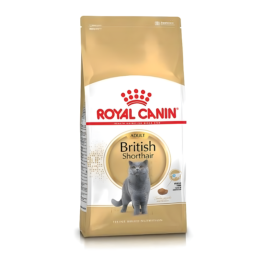 Royal Canin British Shorthair Yetişkin Kedi Maması 4 Kg - 1