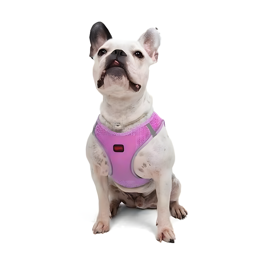 Tailpetz Air-Mesh Lila Köpek Göğüs Tasması M - 1