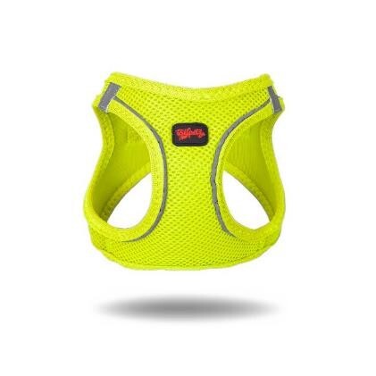 Tailpetz Air-Mesh Neo Limon Yeşili Köpek Göğüs Tasması L - 1