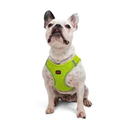 Tailpetz Air-Mesh Neo Limon Yeşili Köpek Göğüs Tasması S - 1
