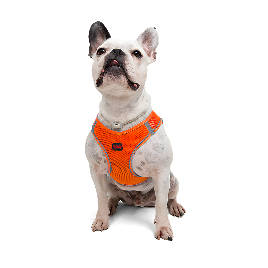Tailpetz Air-Mesh Neo Turuncu Köpek Göğüs Tasması XL - 4