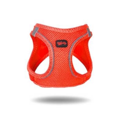 Tailpetz Air-Mesh Neo Turuncu Köpek Göğüs Tasması XL - 3